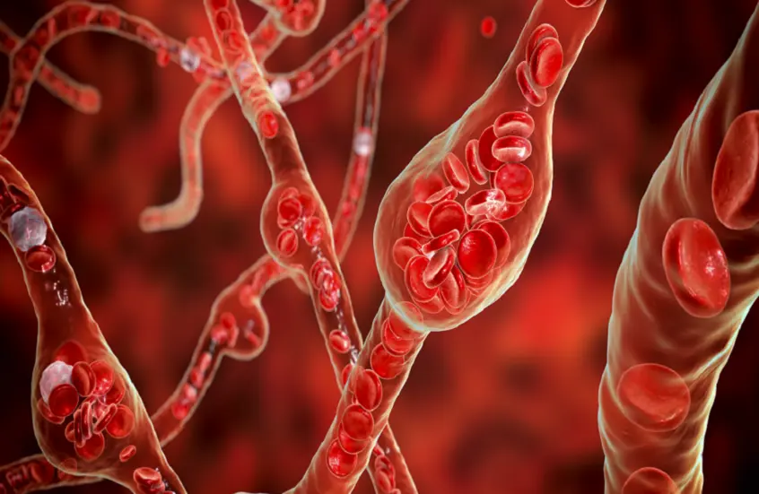 غذاء قوي يقدم فوائد صحية لا تصدق